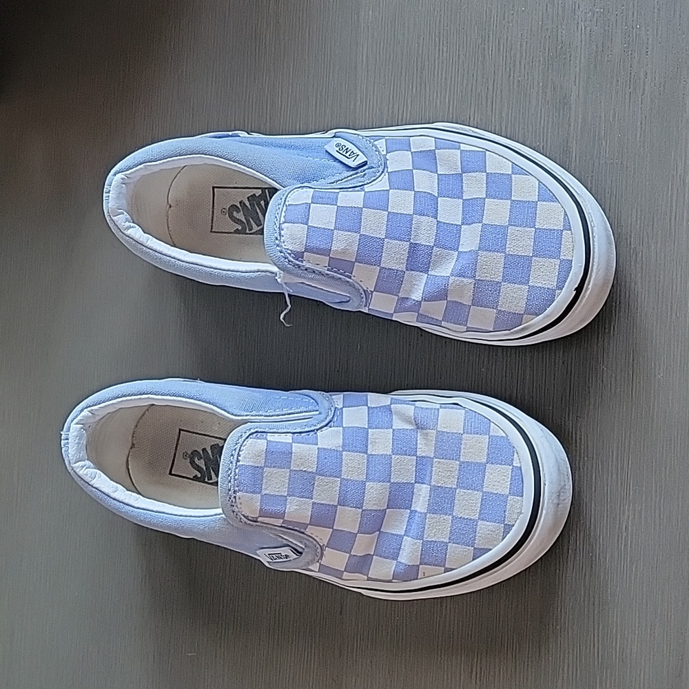 Purple checked Van's slip on shoes